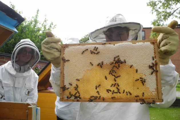 A person holding a beehive. Photo.