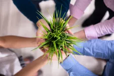 Group Of Businesspeople Hands Holding Green Potted Plant