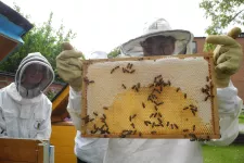 A person holding a beehive. Photo.
