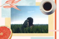 Ett foto på en person med en fågel på axeln, en kaffekopp, en grapfrukt och fält av färg. Kollage.