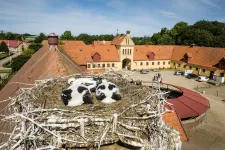 Stork nest with a house in the background. Photography.