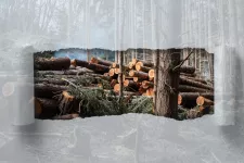Logs in a pile in a forrest, seen through a transparent torn paper. Photo collage.