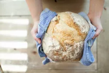 Två händer som håller i ett bröd. Foto.