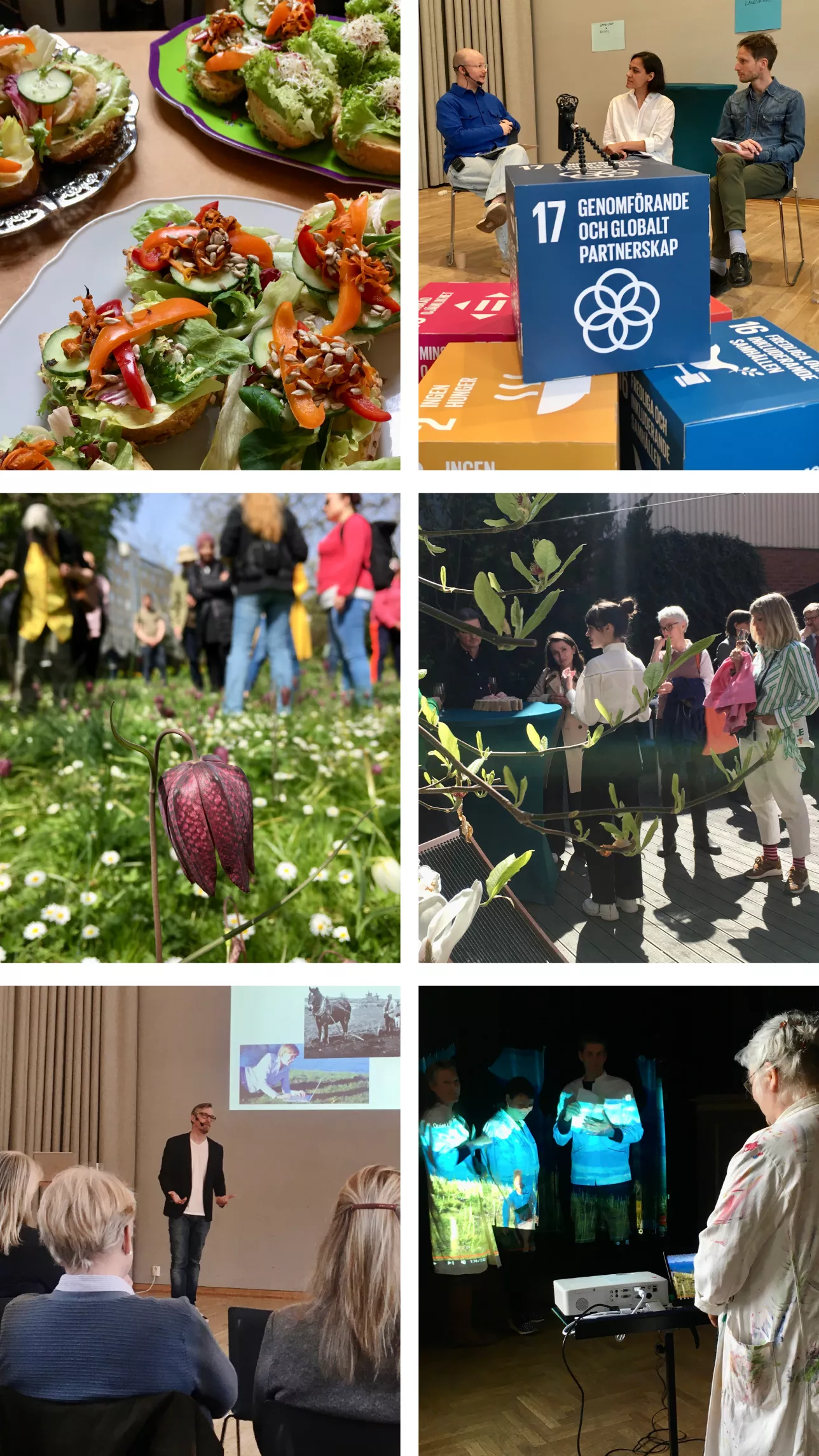 Kollage av bilder från Hållbarhetsveckan 2022, personer som föreläser, matsvinns-mackor, en blomma, ett konstverk och personer som minglar. Foto.