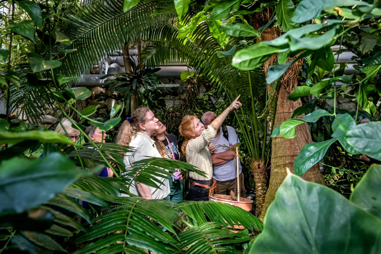 Några personer står omgivna av grönska i ett växthus, en person i mitten pekar uppåt. Foto.